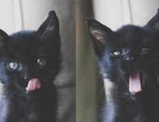 PG电子游戏-跨界传奇，当马里强压皇家社会，楚阿梅尼在NBA季后赛接管比赛