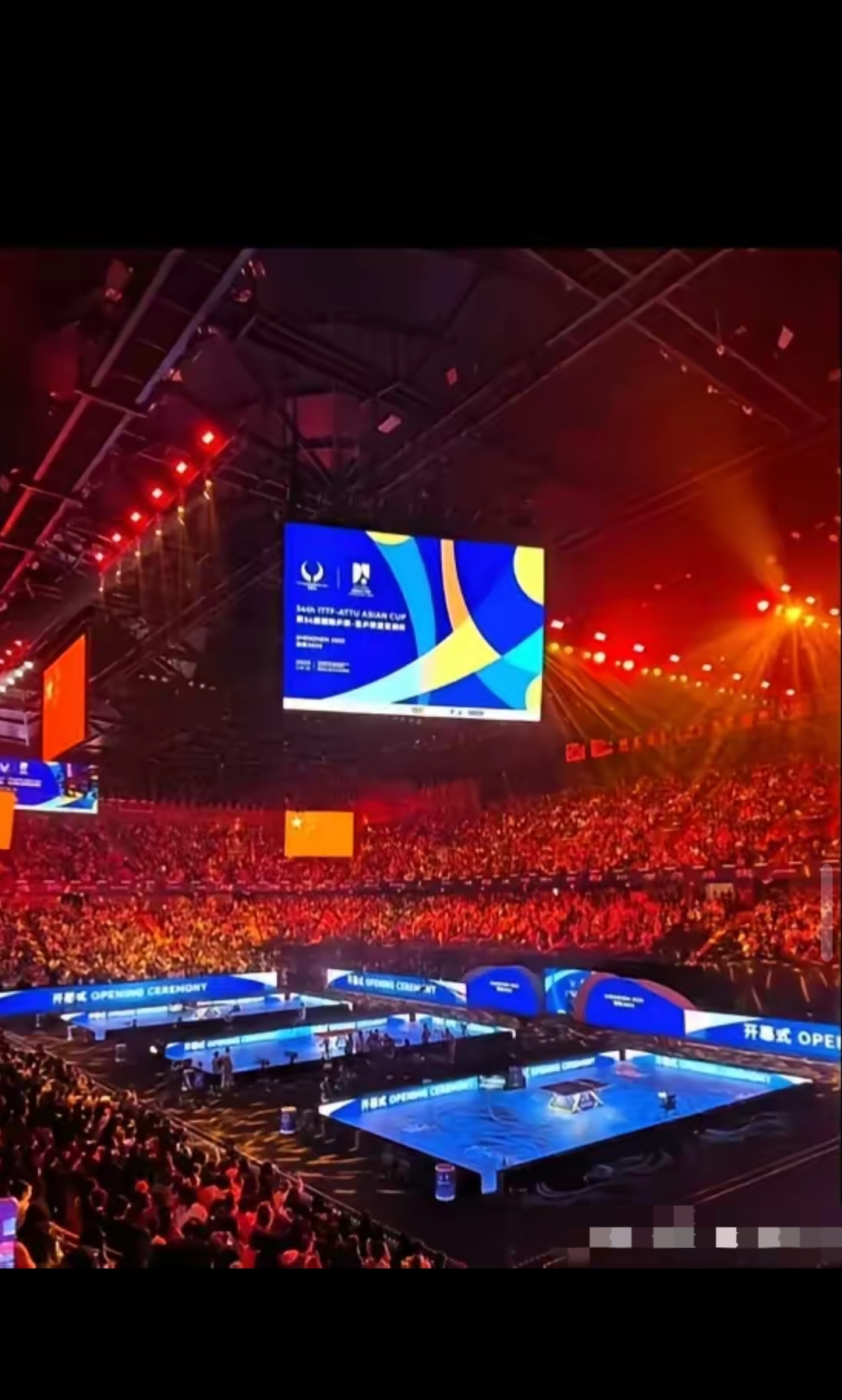 PG电子线上登入-波兰队碾压法国队，许昕点燃赛场